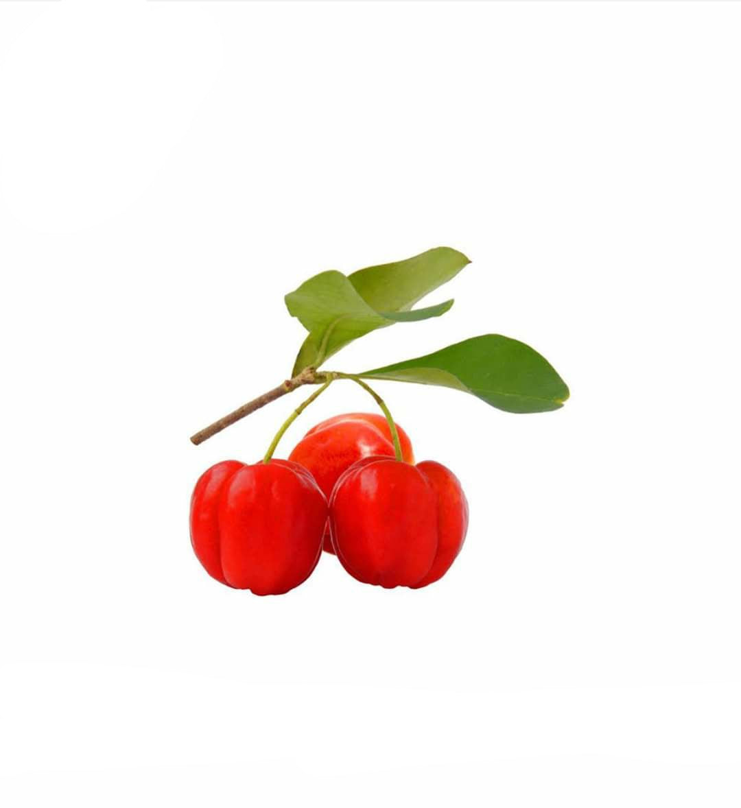 Benefits of Acerola Cherry
