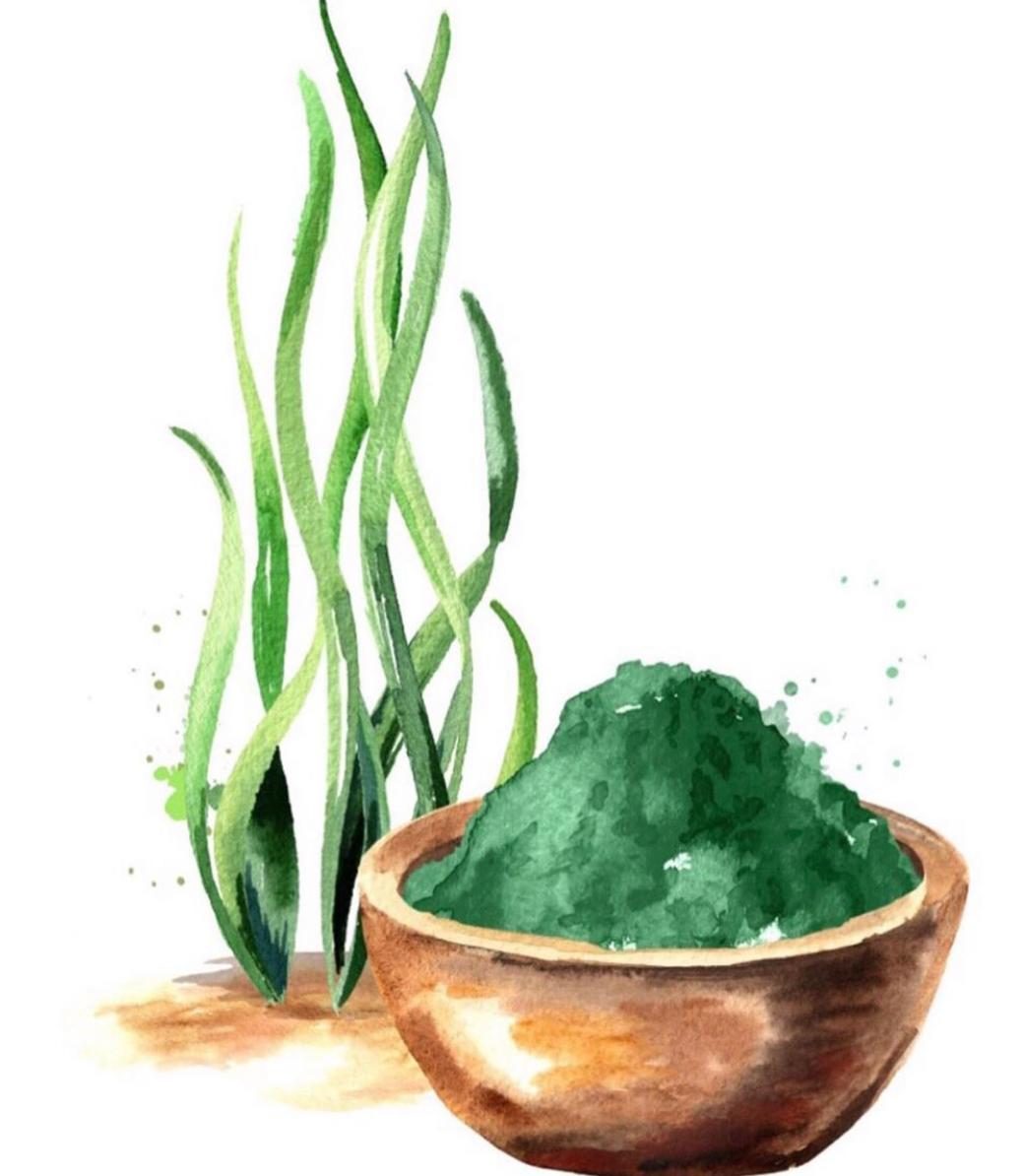 Benefits of Spirulina