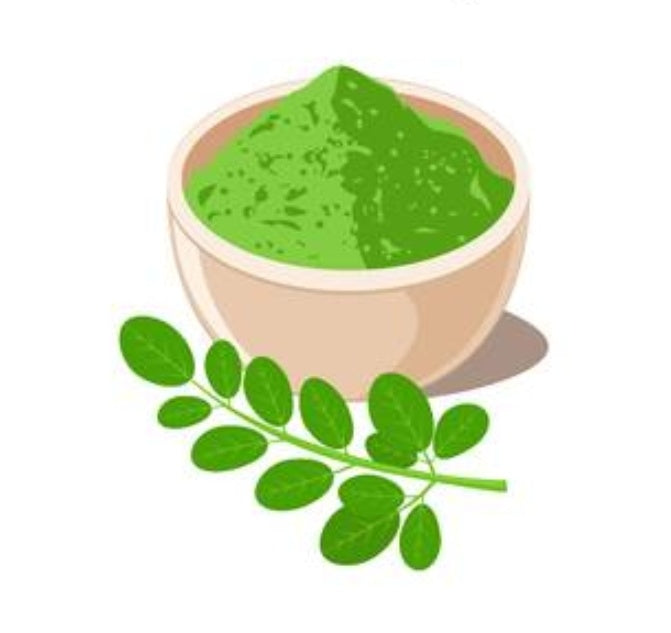 Benefits of Moringa Oleifera